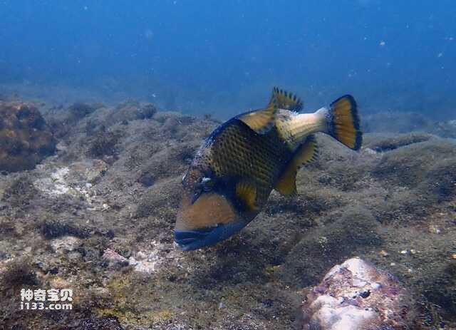 2024071963185995.jpg 6.jpg