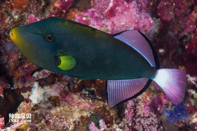 2024071973238412.jpg 99.jpg