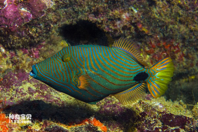 2024071984544821.jpg 88.jpg