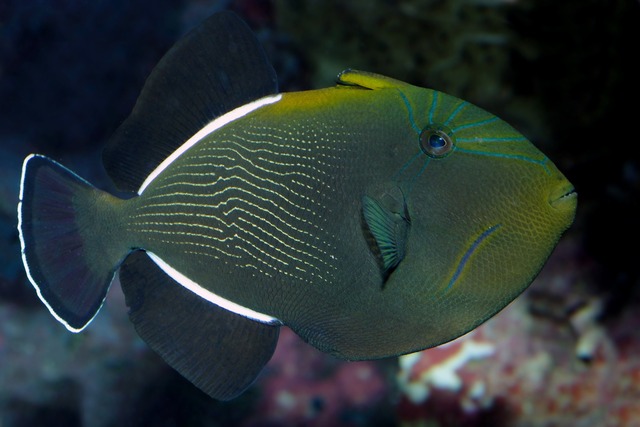 2024071991385205.jpeg 1010.jpeg