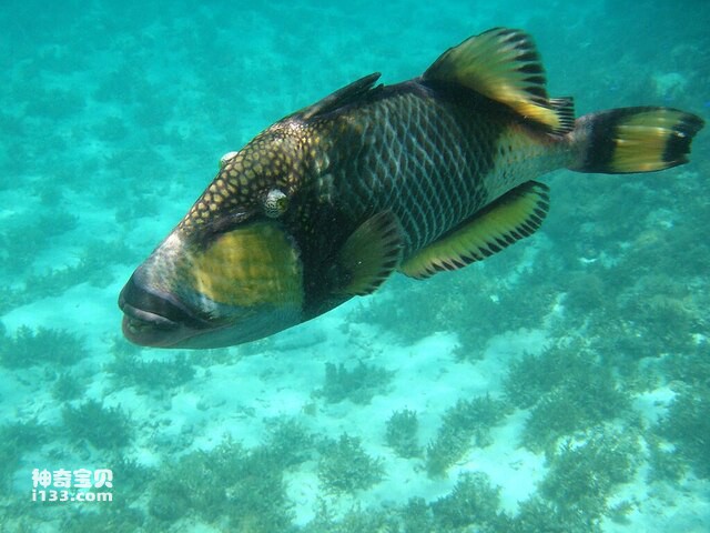 2024071992889920.jpg 66.jpg