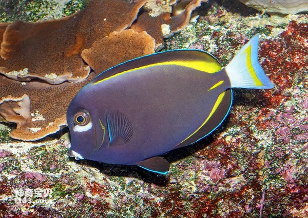 2024072110222159.jpg 10.jpg