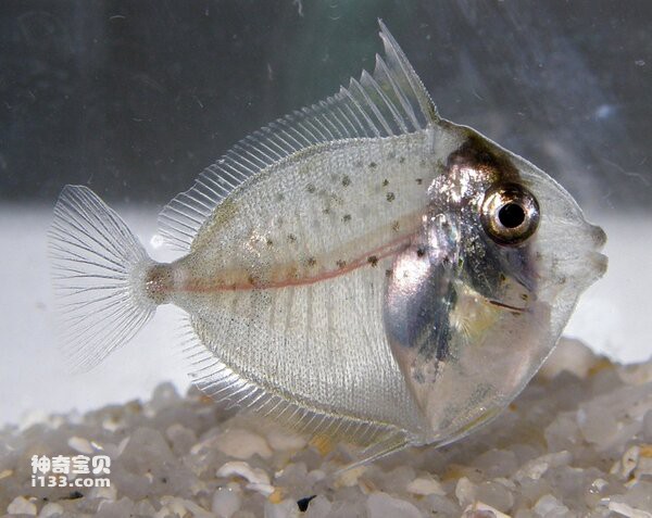 2024072110287979.jpg 222.jpg