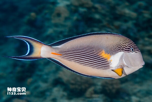 2024072111034979.jpg 77.jpg