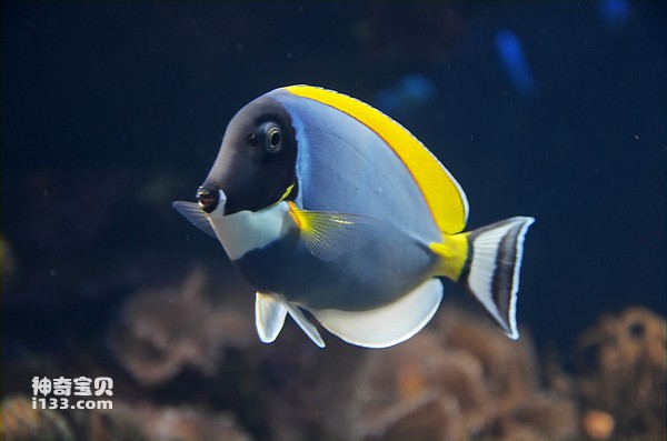 2024072111891983.jpg 1.jpg