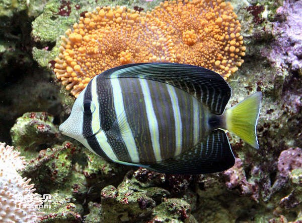 2024072111918336.jpg 55.jpg