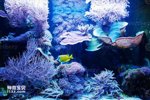 2024072111921668.jpg 333.jpg