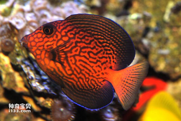 2024072115643590.jpg 88.jpg