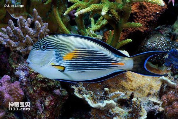 2024072117061879.jpg 7.jpg