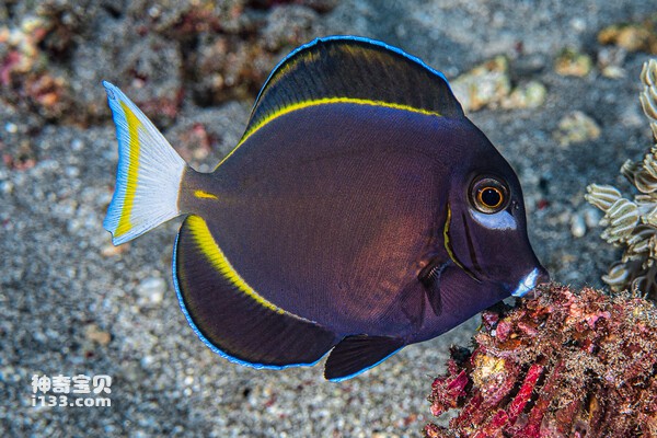 2024072119102292.jpg 1010.jpg