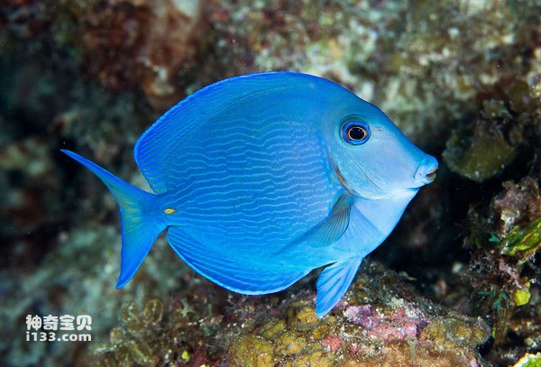 2024072119353228.jpg 99.jpg