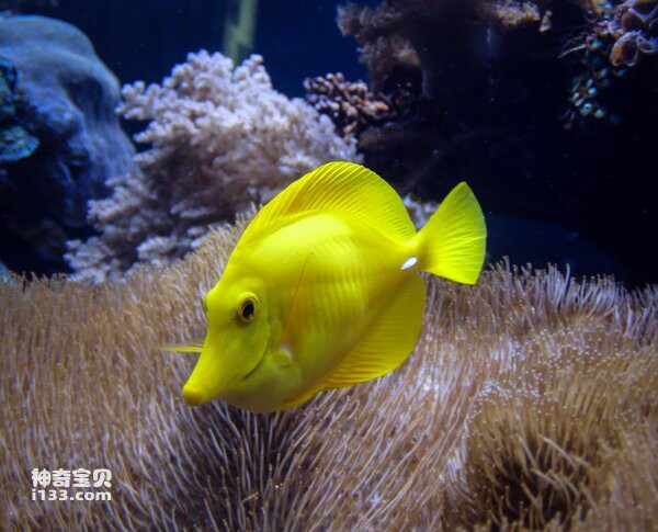 2024072120434950.jpg 2.jpg