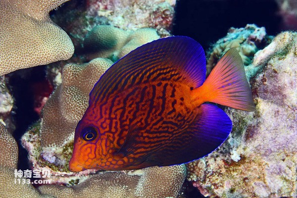 2024072121225033.jpg 8.jpg