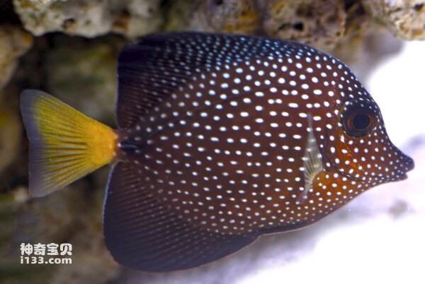 2024072153050515.jpg 66.jpg