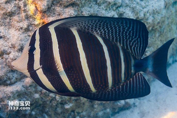 2024072170211780.jpg 5.jpg