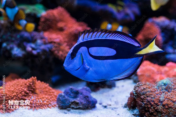 2024072177270919.jpg 33.jpg