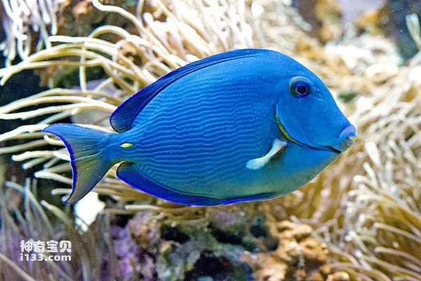 2024072186355458.jpg 9.jpg