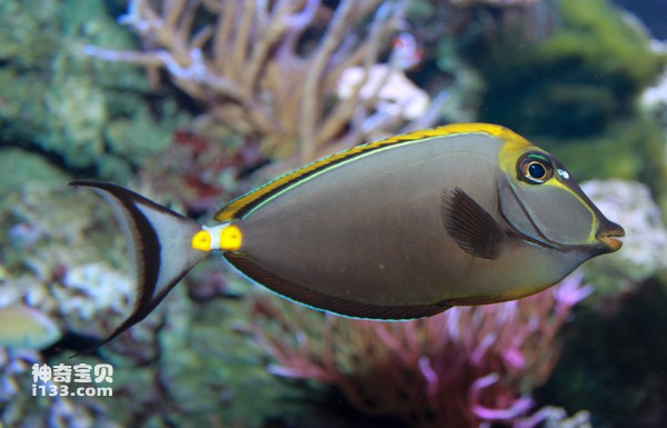 2024072192524570.jpg 4.jpg