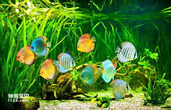 2024072611233459.jpg 1.jpg