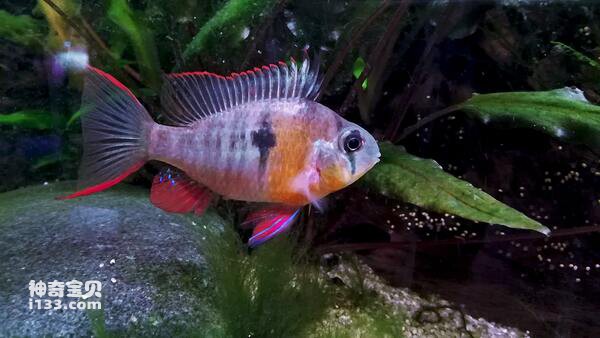 2024072613937072.jpg 1010.jpg