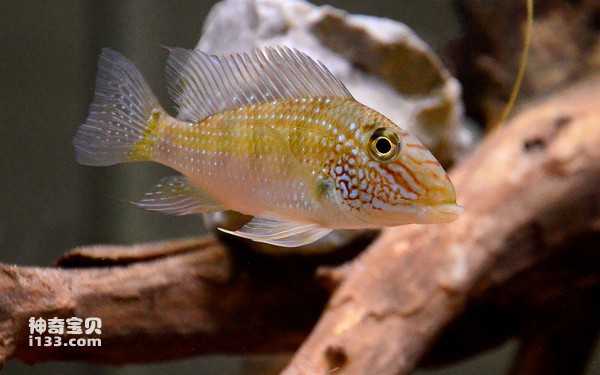 2024072620367578.jpg 3.jpg