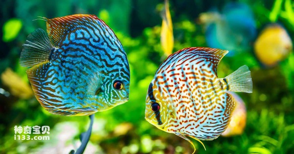 2024072621291101.jpg 11.jpg