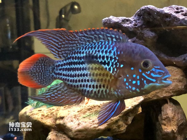 2024072639986072.jpg 5.jpg