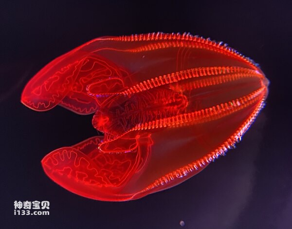 2024073011070865.jpg 8.jpg