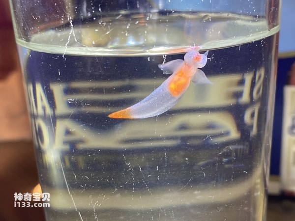 2024073012073707.jpg 11.jpg