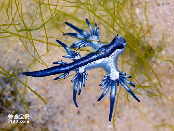 2024073012201400.jpg 10.jpg