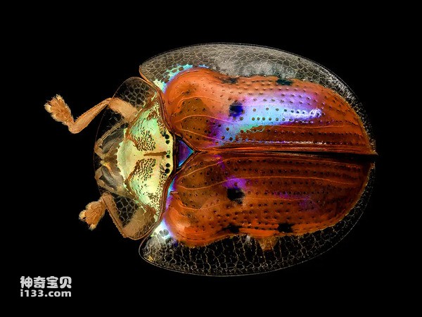 2024073012752194.jpg 44.jpg