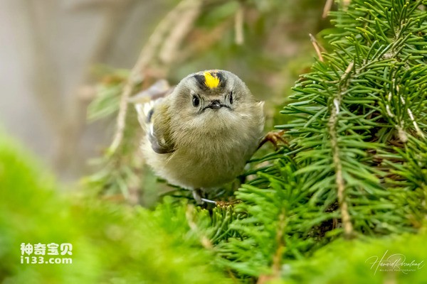 2024073014594880.jpg 55.jpg