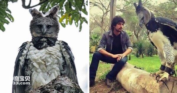 2024073015382252.jpg 77.jpg