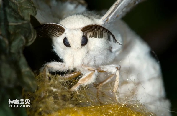 2024073016655993.jpg 33.jpg