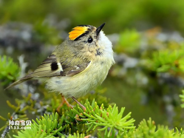 2024073018224535.jpg 5.jpg