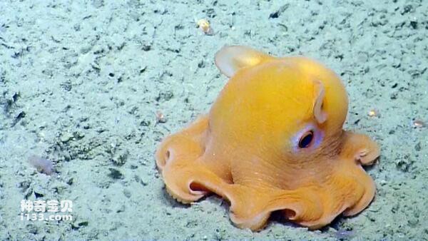 2024073019843616.jpg 2.jpg