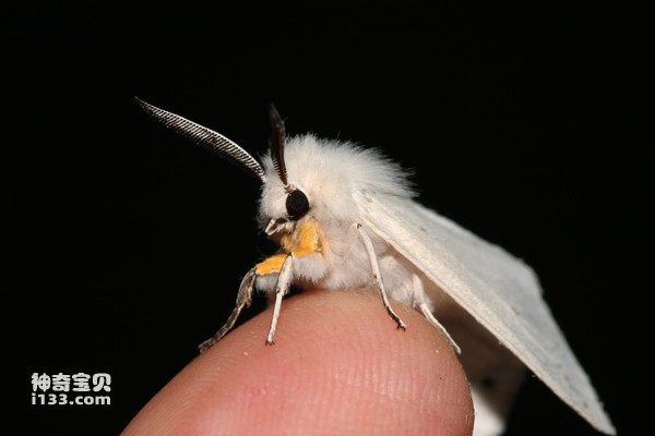 2024073020780875.jpg 3.jpg