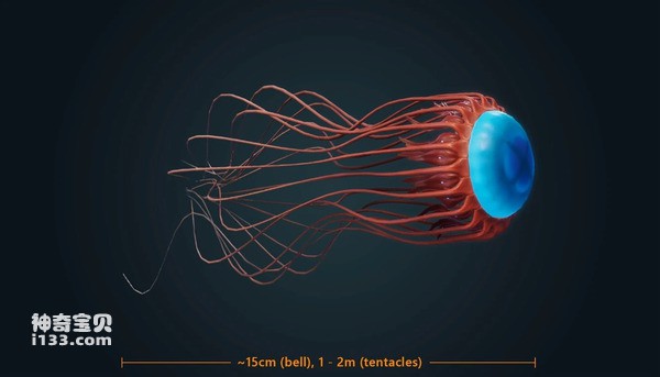 2024073021318501.jpg 9.jpg