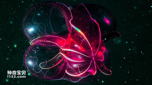 2024073085766095.jpg 88.jpg