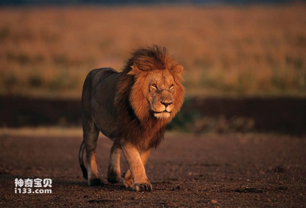 2024080713226321.jpg 5.jpg