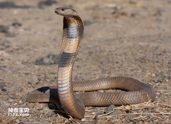 2024080714672147.jpg 22.jpg