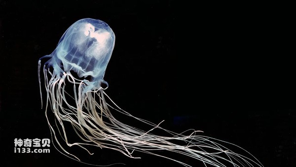 2024080721458227.jpg 33.jpg