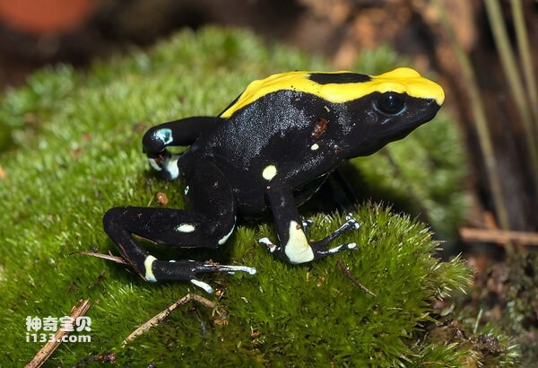 2024080723552187.jpg 10.jpg