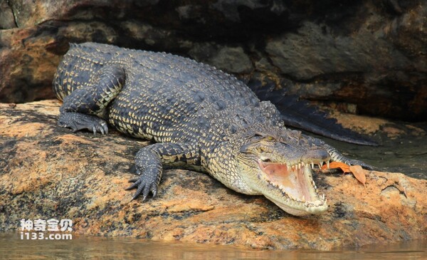 2024080725692949.jpg 6.jpg