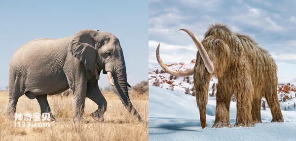 2024080726437355.jpg 77.jpg