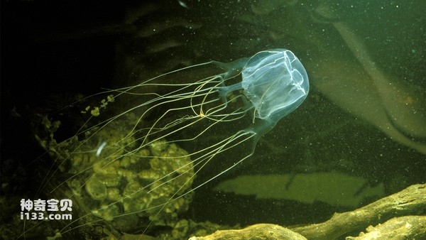 2024080733042492.jpg 3.jpg