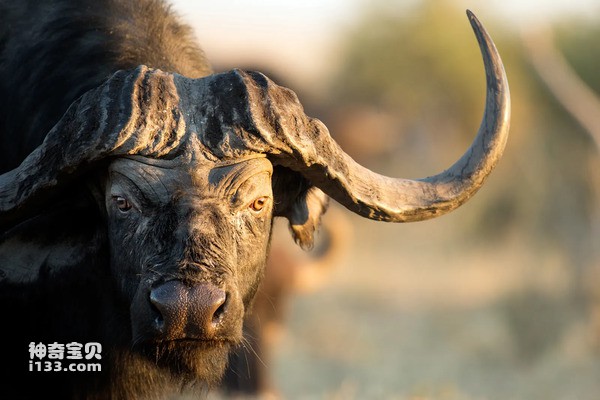 2024080769026174.jpg 9.jpg