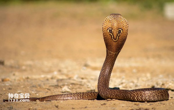 2024080775656821.jpg 2.jpg