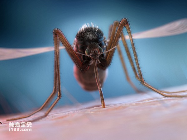 2024080784387461.jpg 11.jpg