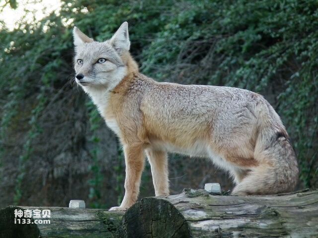 2024082010627330.jpg 8.jpg